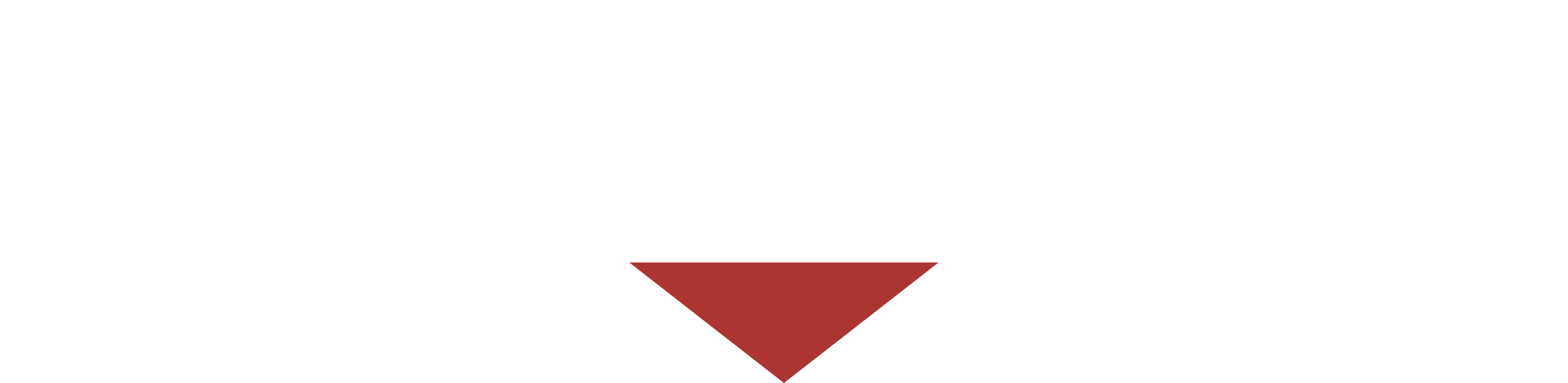 Viking Gym